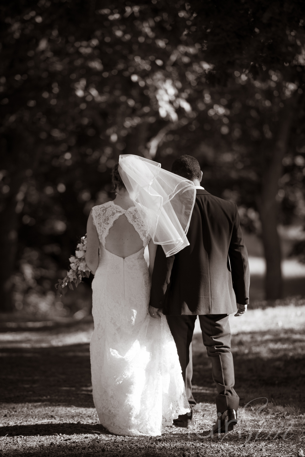 Renee and Davids Gisborne Wedding by Iain Sim Photography